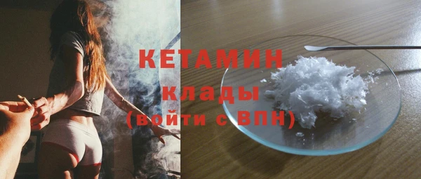 прущие грибы Кулебаки