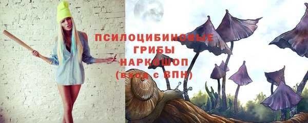 ПСИЛОЦИБИНОВЫЕ ГРИБЫ Ладушкин