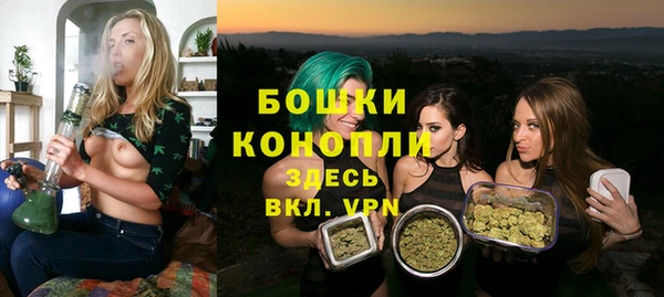 ПСИЛОЦИБИНОВЫЕ ГРИБЫ Ладушкин